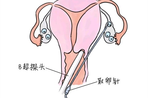 http://shaoxing.huochezhan.net/post/205.html|绍兴供卵助孕