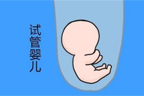 培养绍兴捐卵宝宝艺术细胞的小技巧