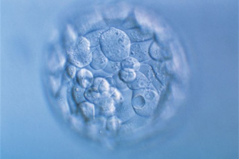 http://shaoxing.huochezhan.net/post/200.html|绍兴新闻中心
